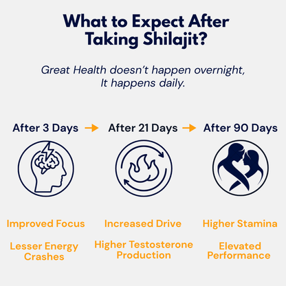 Himalayan Shilajit Resin™